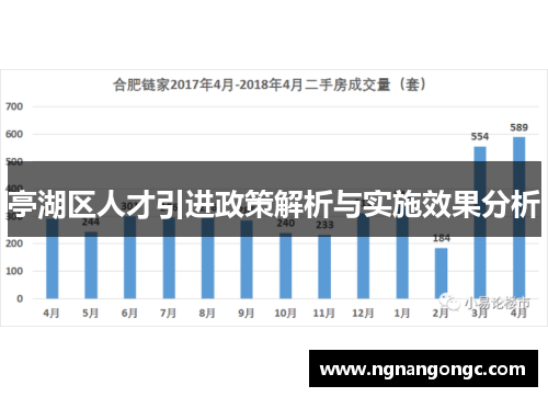 亭湖区人才引进政策解析与实施效果分析